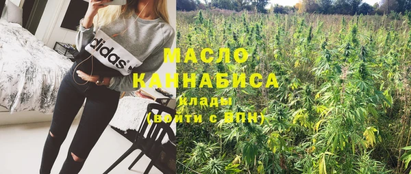 дмт Абаза