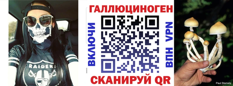 Псилоцибиновые грибы Psilocybe  Рязань 